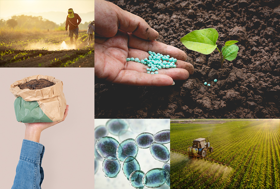  A diligent farmer working in a sunlit field, using a tool to cultivate the soil